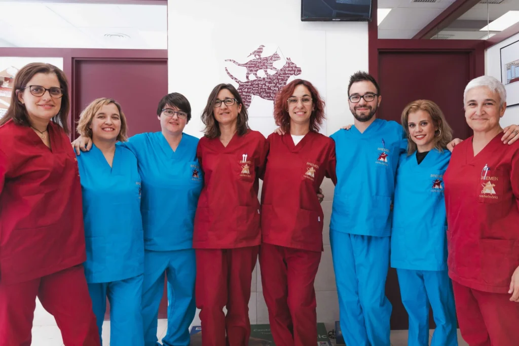 equipo de bremen veterinaria de sabadell